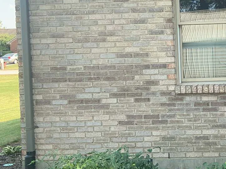 The same corner in 2019, a downspout at the left and a planted bed running below it, the brick blended across both elevations