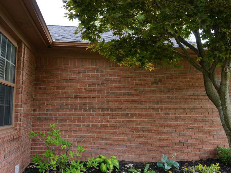 The same corner wall in 2019, the courses one even range from the window to the corner, a tree and a planted bed in front