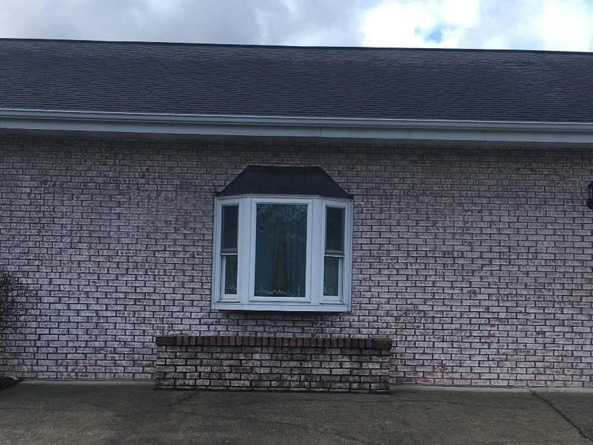 The bay window wall in 2020, twelve years of weather on the same pale brick, with a grown shrub at the corner and the drive running past