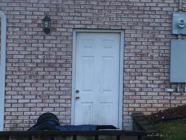 The side door in 2020, the header course above it still in range with the wall, a planted bed and timber edging now along the base