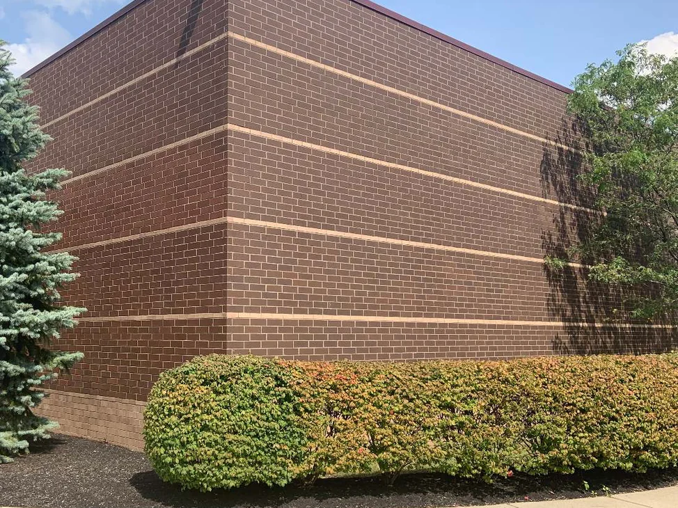 The windowless end of the store in 2019, dark red brown brick reading as one range across both elevations under a metal parapet, a clipped hedge and a spruce at its base