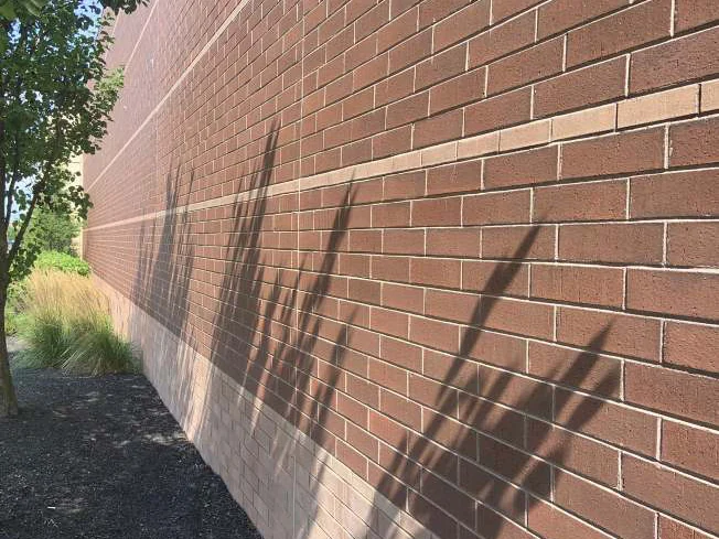 The long side wall in 2019 seen down its length, ornamental grasses casting shadows across red brown brick above a cream base course