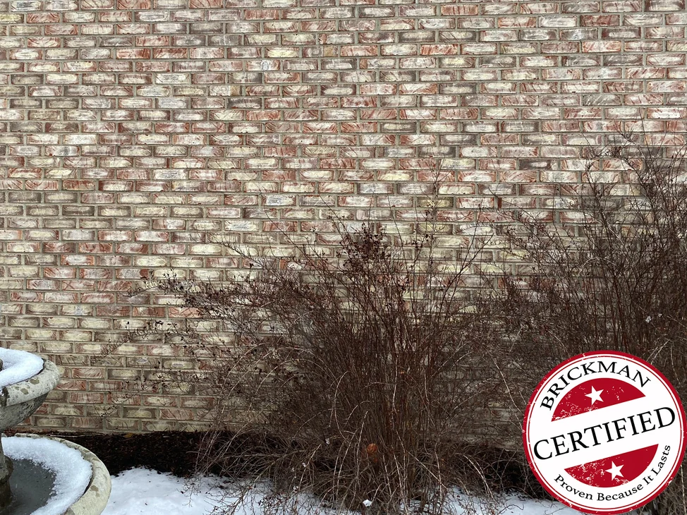 The garden wall of the home in 2020, its washed pink and cream brick one even range under a white soffit, with a stone fountain and dormant shrubs in the snow in front of it.