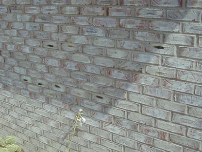 The grey washed brick wall in 2005 before the work, dark spots on scattered units running in a band across the middle courses