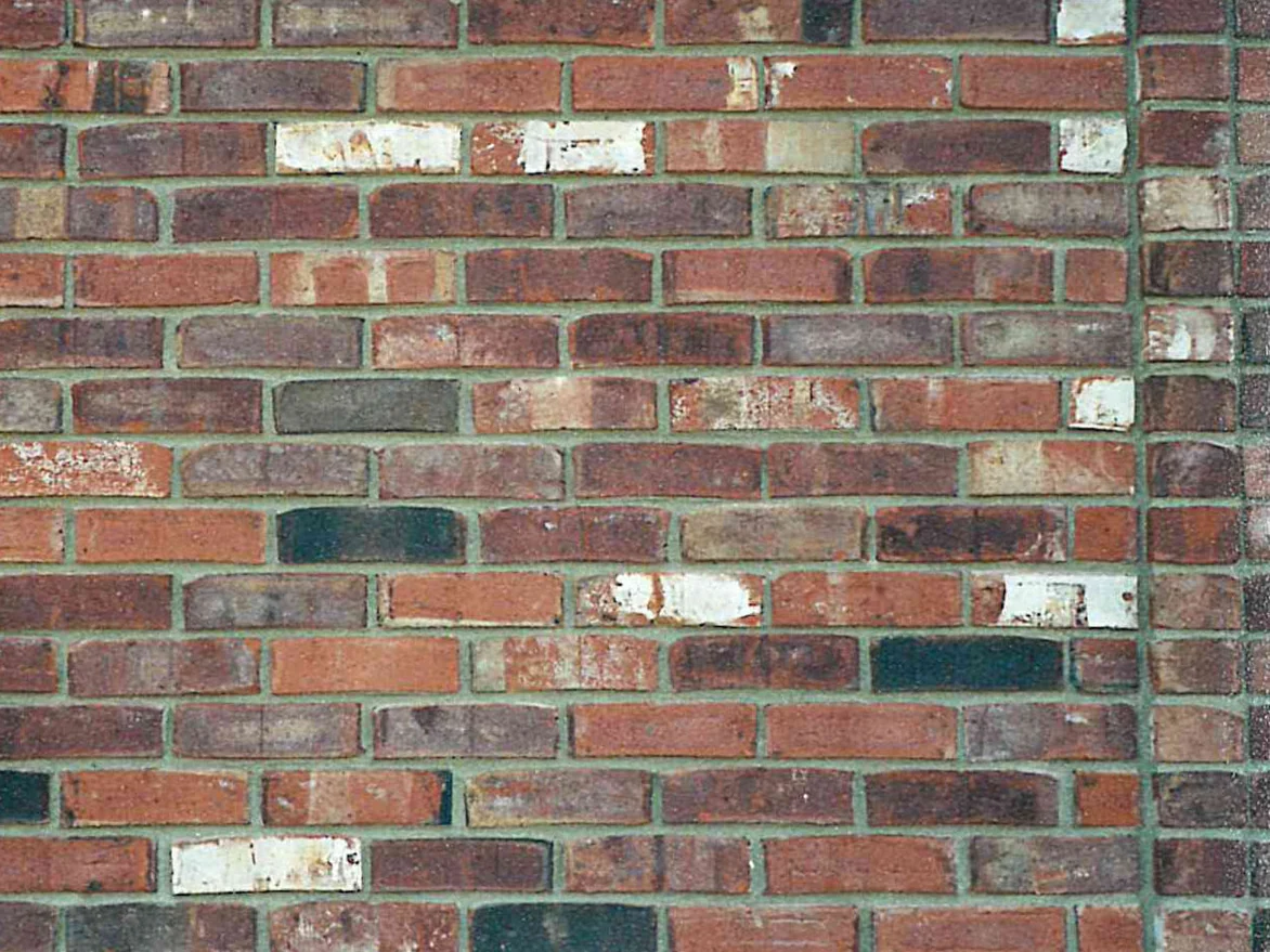 Close view of the wall in 2001, a dozen near-white units standing out hard against the reds and browns around them, with pale green mortar joints