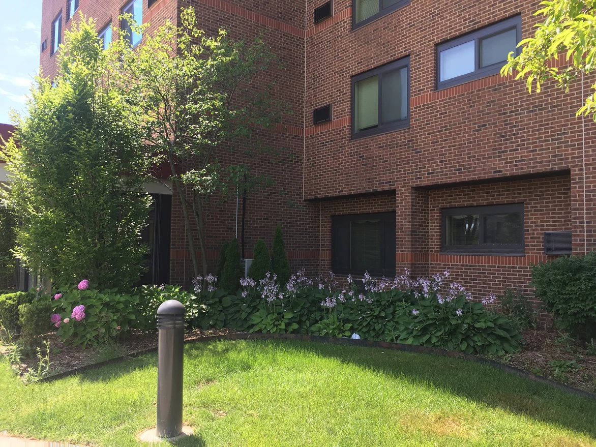 A corner of the building in 2019 behind mature planting, the brick even across the wall above the shrubs