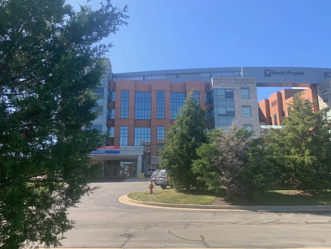 The same elevation seen through evergreens from further back in 2019, the brick holding one range across the full height of the block
