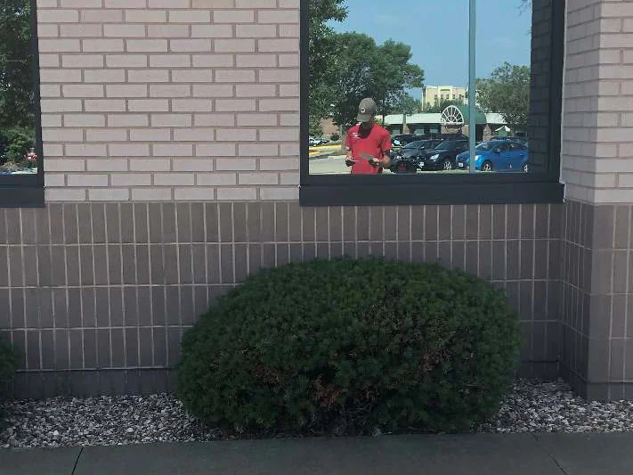 A single window bay in 2019, cream brick over the dark base course with one yew in front and a man in a red shirt reflected in the glass