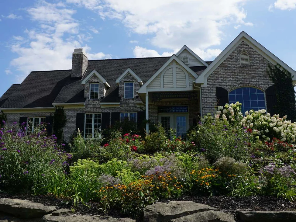 The whole front of the house in 2019 from the garden, three dormers and the gabled wing in one even buff range, hydrangeas and perennials grown up to the windows