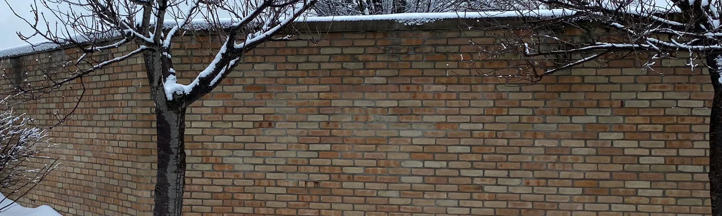 A long buff brick wall at the church in 2020, snow on its coping and a bare tree in front of it