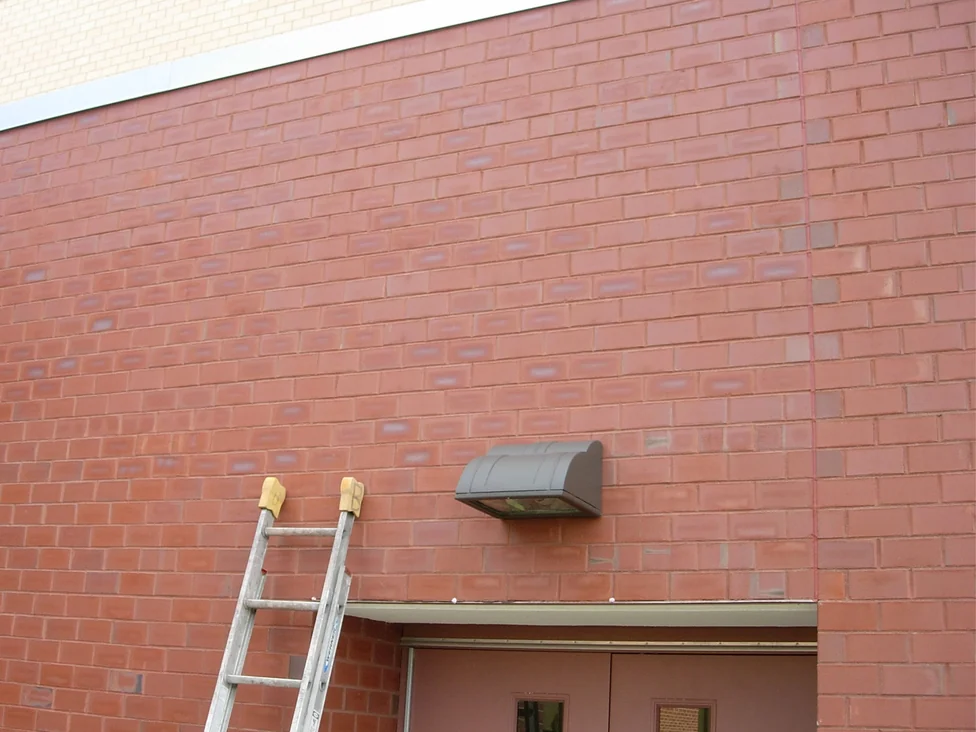 The red brick wall above a school entrance in 2007, pale white blotches scattered across the units, an extension ladder leaning beside the doors under a wall light