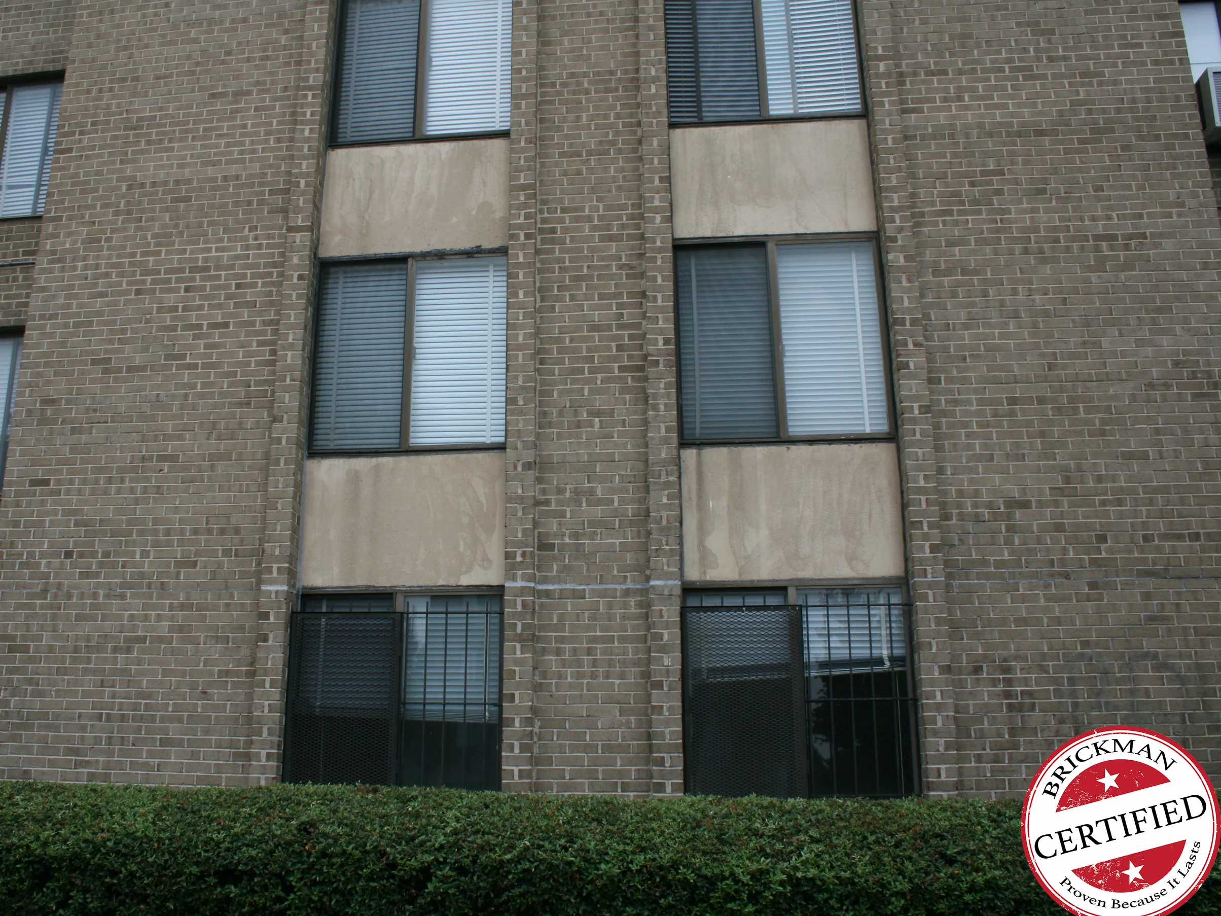 Two window bays in 2019 above a clipped hedge, the brick even from the barred ground floor windows to the top of the frame, which carries the Brickman Certified stamp