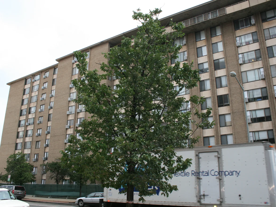 The long elevation from across the street in 2019, a street tree in front of it and the brick reading as one range from the near corner to the far end