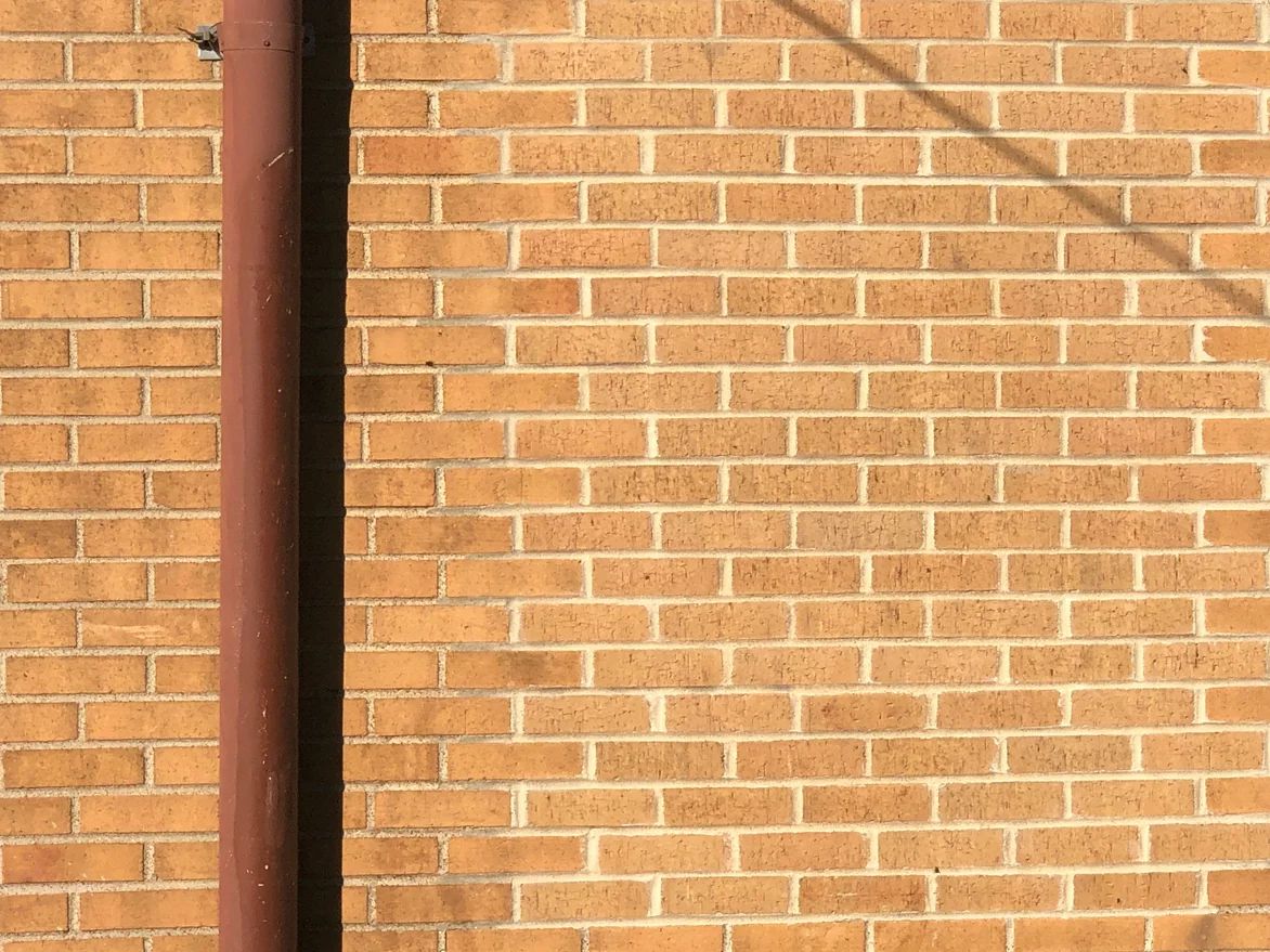 Close view of the wall in 2019 beside a downspout, the brick faces reading as one buff range course by course