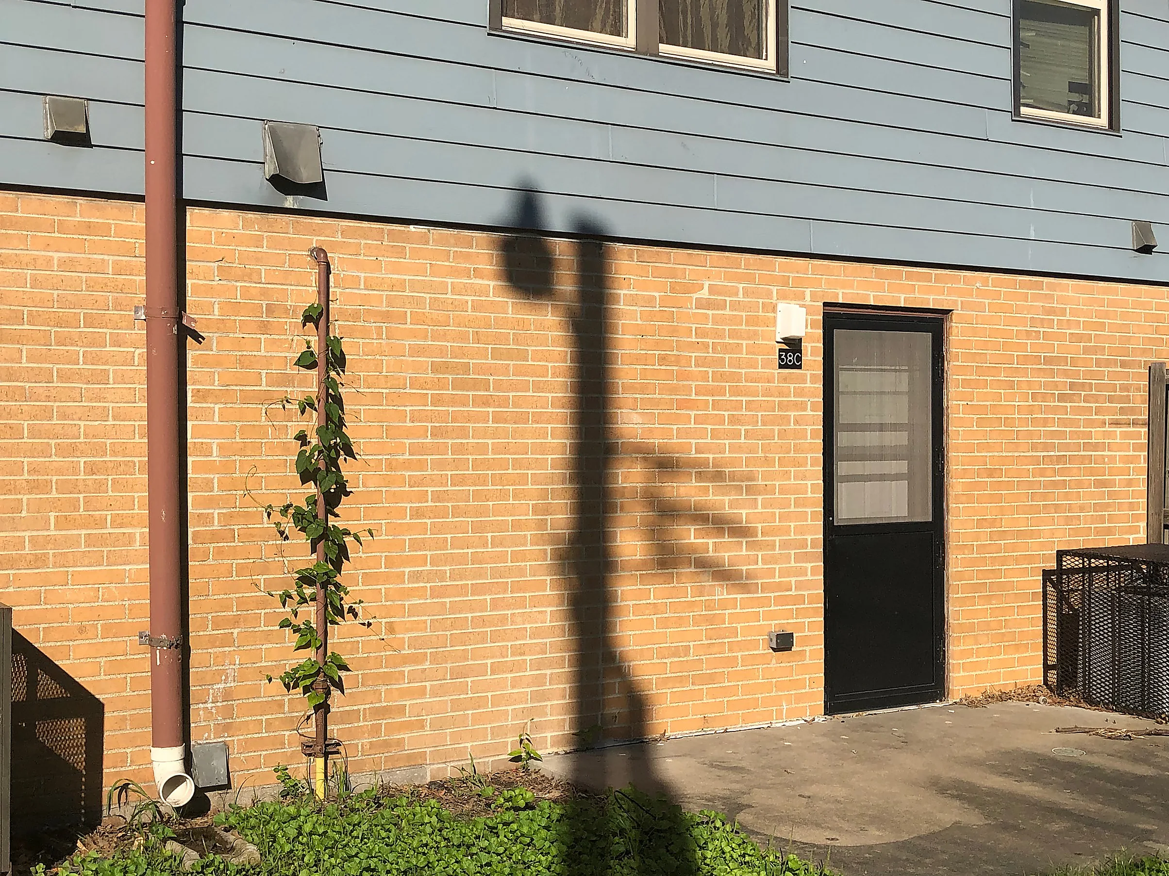 The two-story block in 2019, siding over brick, the brick holding one buff range from the ground to the eaves with a vine growing up the downspout