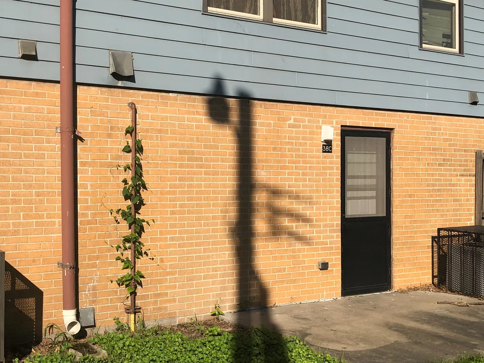 The two-story housing block in 2019, its brick holding one buff range from the ground to the siding above.