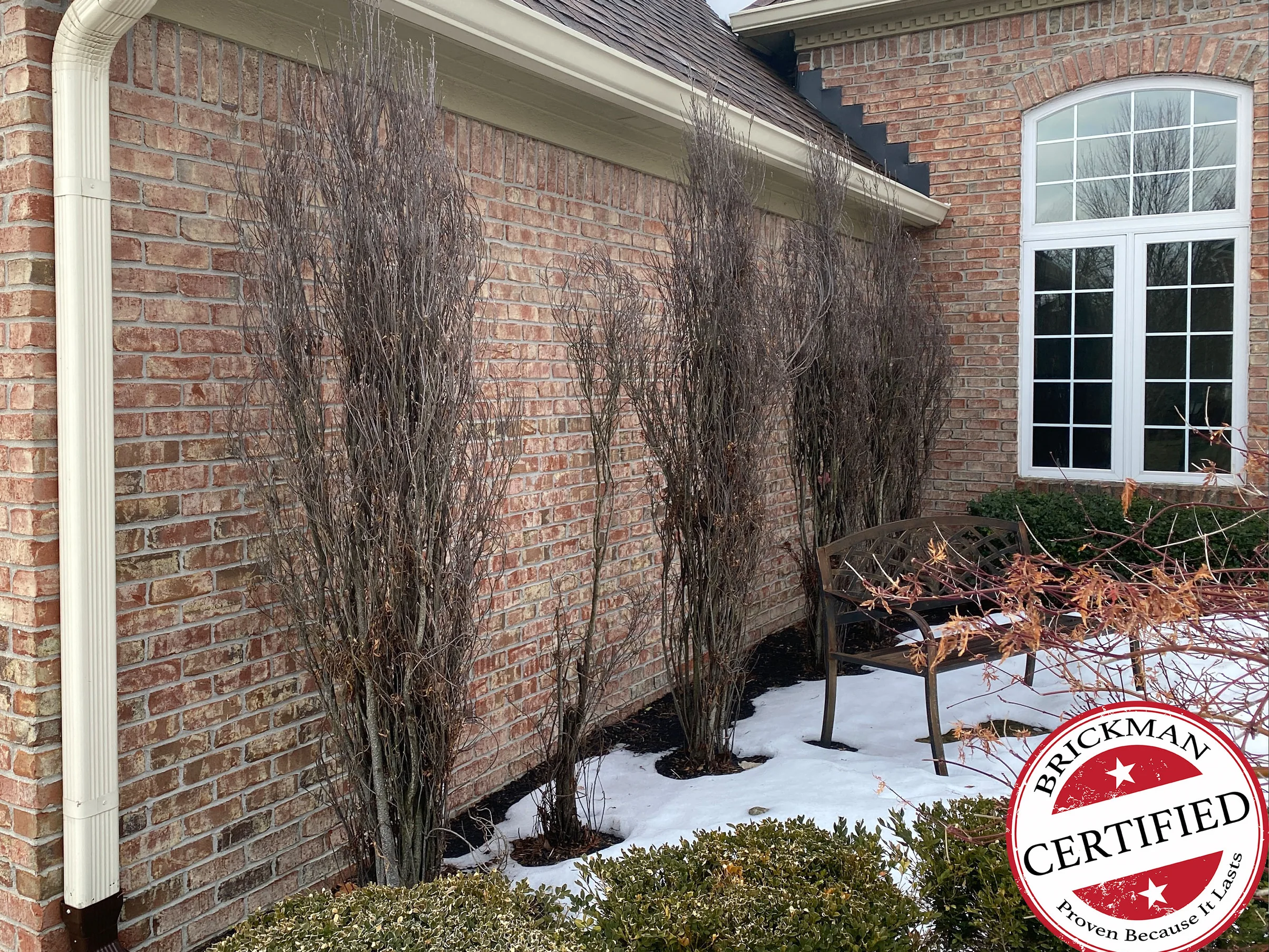 The same side wall in 2021, one range of red and tan brick from the downspout to the arched window, with bare shrubs and snow on the beds, a bench, and the certification stamp in the corner