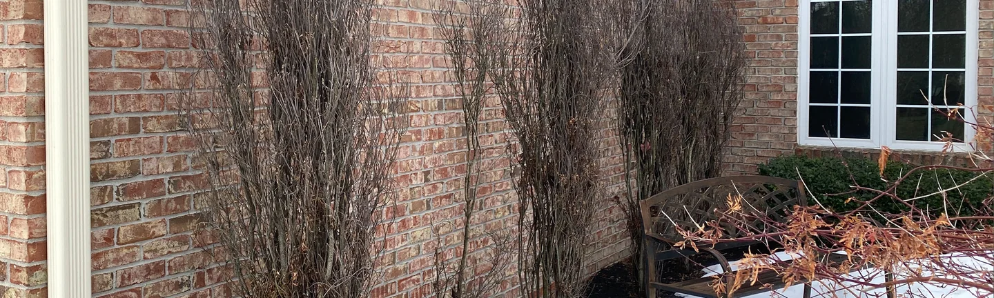 The side wall of the Fishers house in 2021, red and tan brick reading as one range from the downspout to the arched window