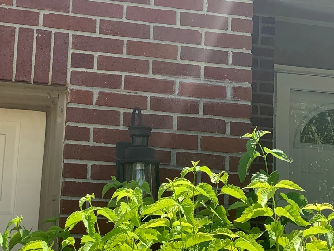 The entrance in 2019, a black lantern on deep red brick beside the arched glass of the front door, with a shrub grown up against the wall