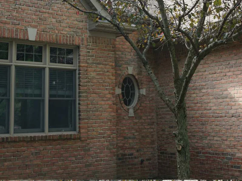 The same inside corner in 2019, the oval window and the double-hung window in one range of red brick, a tree grown up in front of the return wall