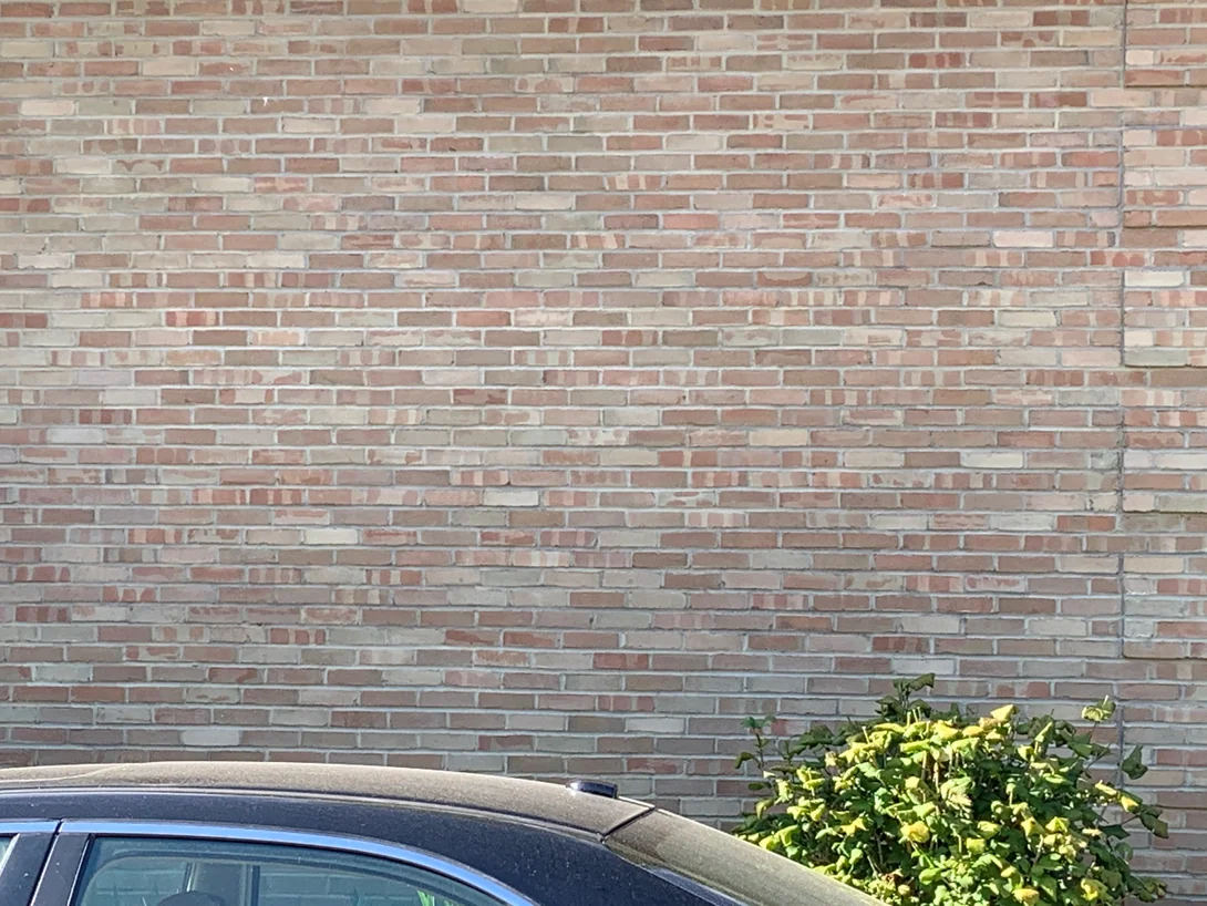 Close view of the blended wall in 2019, individual units in rose, buff, cream and pale grey set in light mortar with no run of one colour standing out