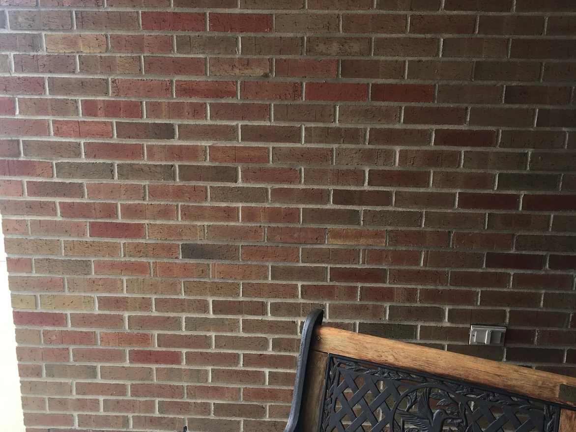Close view of the wall under the canopy in 2019, the units running through tan, red, brown and cream against pale mortar joints