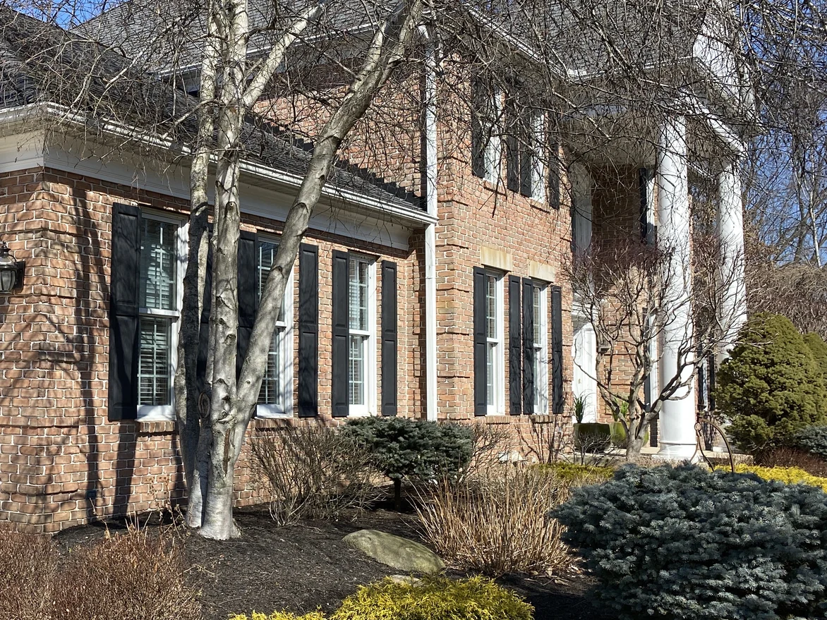 The corner of the house in 2021, birch trunks standing in front of the shuttered windows with the portico columns beyond
