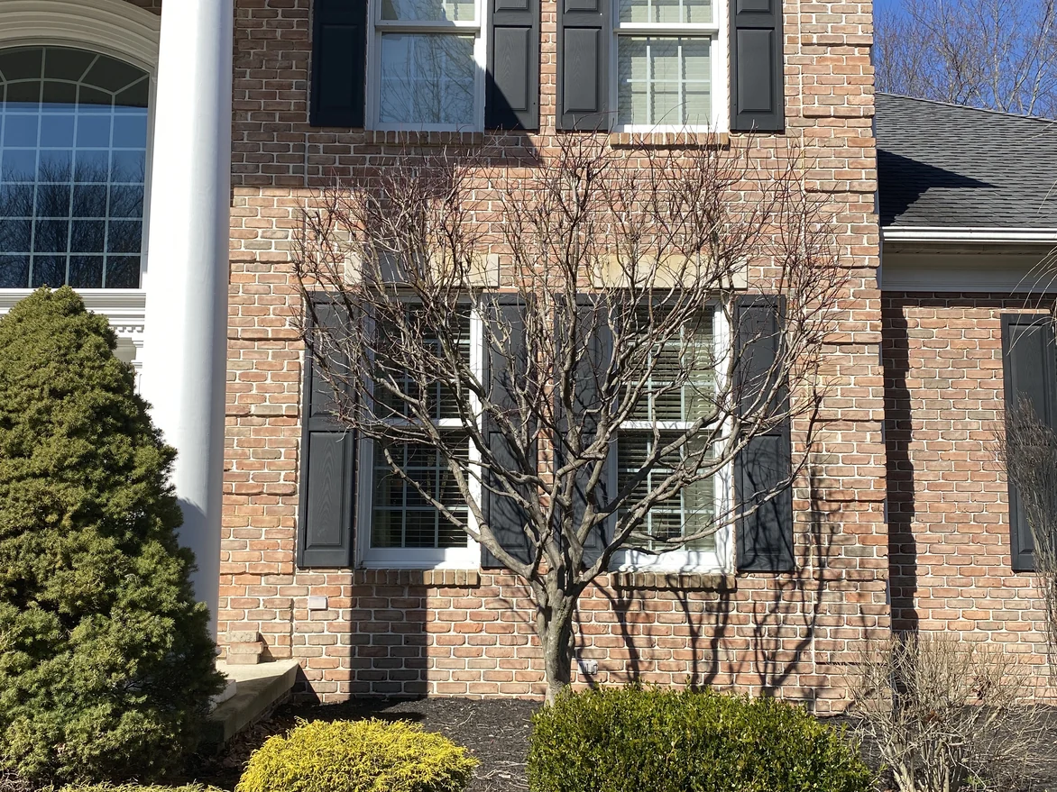 The front of the house in 2021, two storeys of brick with black shutters beside a white column and an arched fanlight window