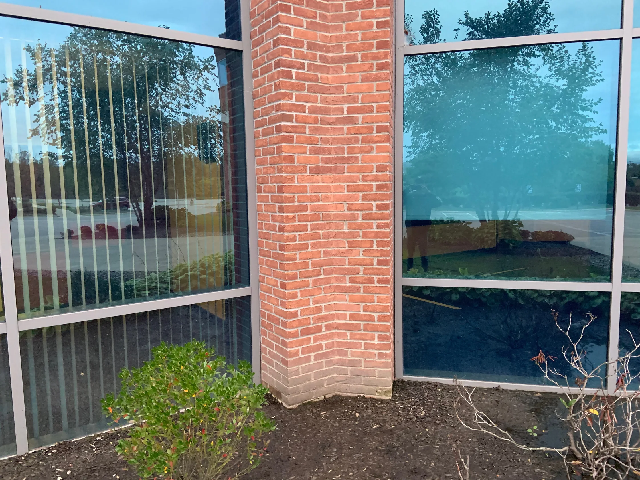A brick pier between two ground floor windows in 2019, its angled corner units the same range as the courses beside them, a shrub and mulch bed at its foot