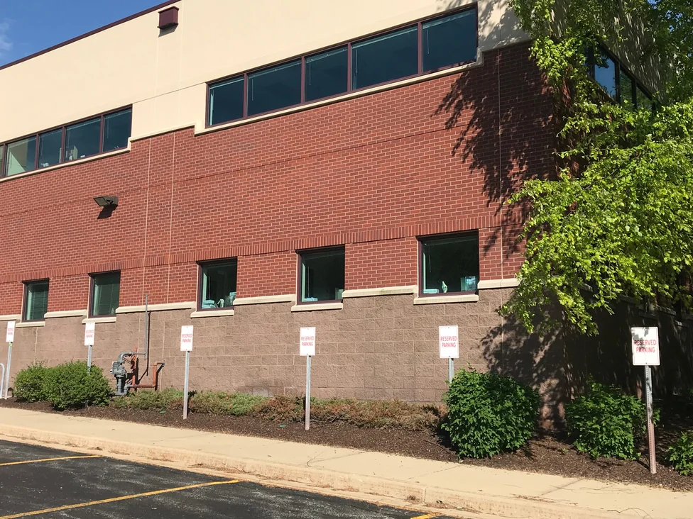 Ground floor windows with cast stone sills set in even red brick under a soldier course, a tree shading the corner beyond