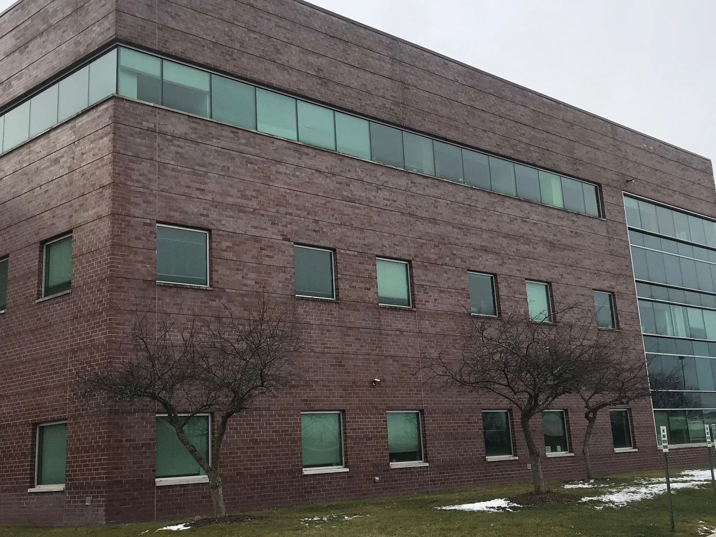 The outside corner of the school in 2021, three levels of brick reading as one even red range from the grass to the parapet, with a glazed bay beyond