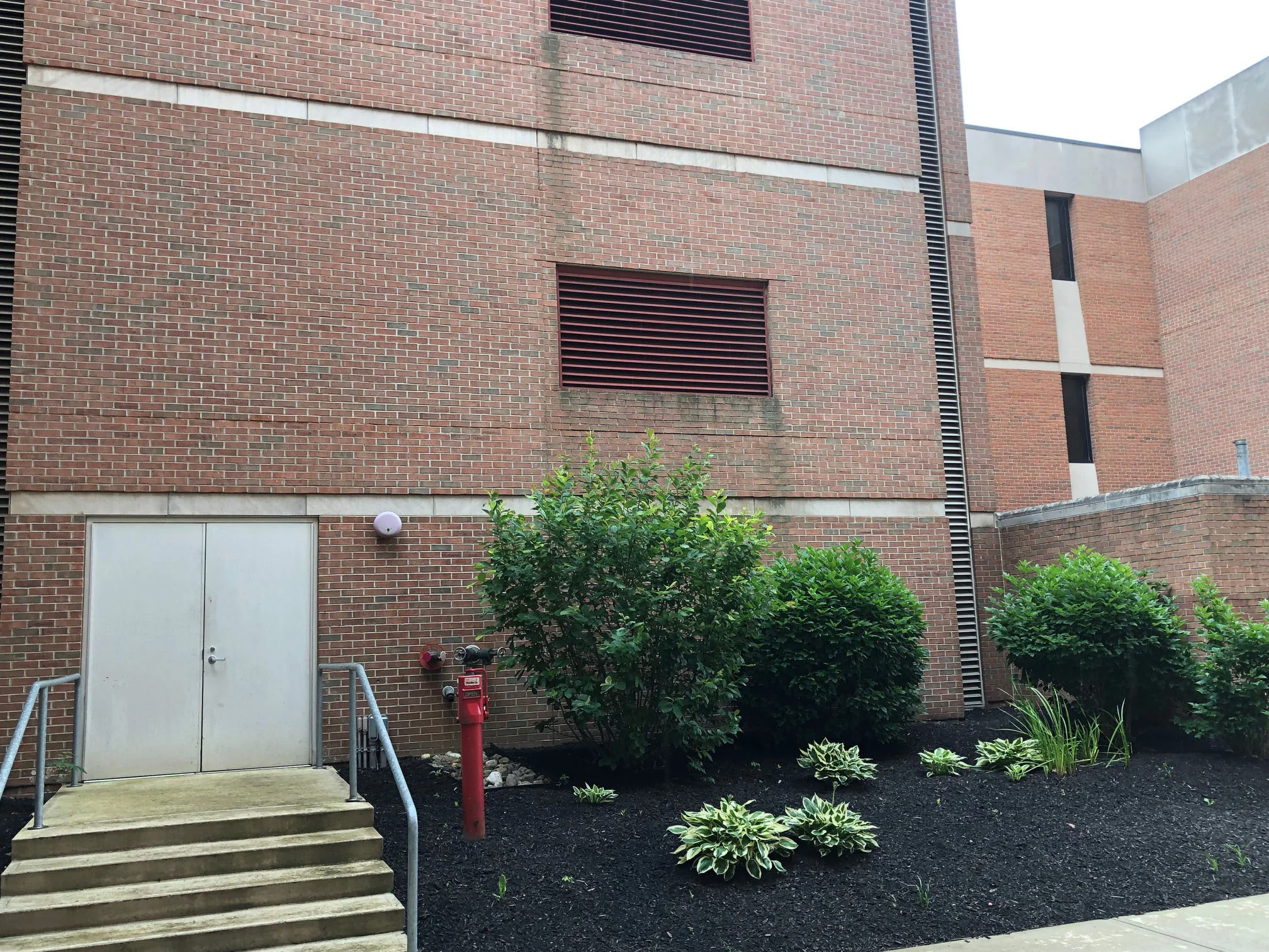 A tall wall in 2019 with two louvred vents, cast stone banding, a standpipe and planted beds at its base, its brick reading red and brown in the same range as the wing standing behind it on the right