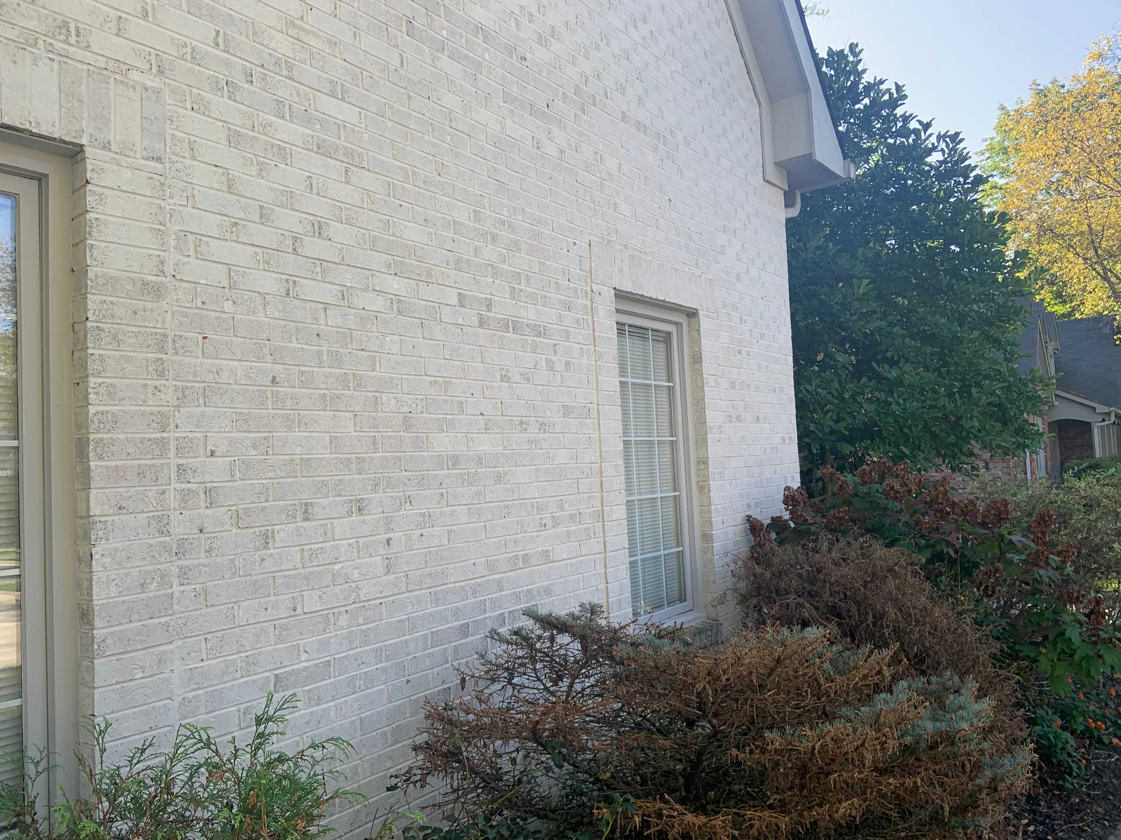 A long run of the blended wall in 2019 receding to the corner of the gable, with a window and mature planting at its foot