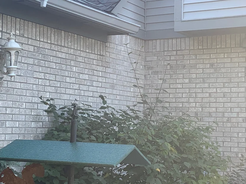 An outside corner of the house in 2019, the blended brick running evenly across both faces under a soldier course