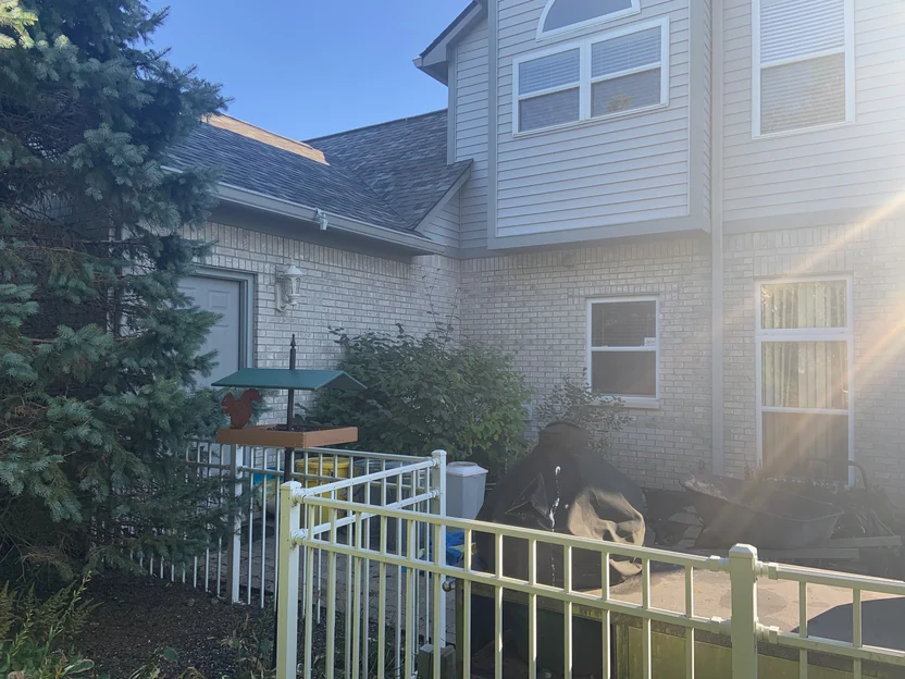 The side of the house in 2019, the brick holding one even cream range across two elevations beside a service door