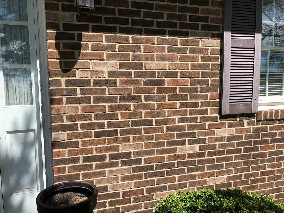 The brick between the storm door and the window in 2019, the lighter courses reaching from the door frame across to the shutter