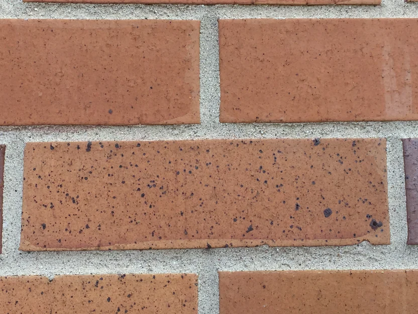 A close view of five stained brick in 2016, the speckled faces and the sand mortar joints between them