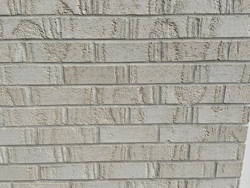A close-up of the textured brick in shade in 2019, pale units with rough faces and lighter patches showing in several of them