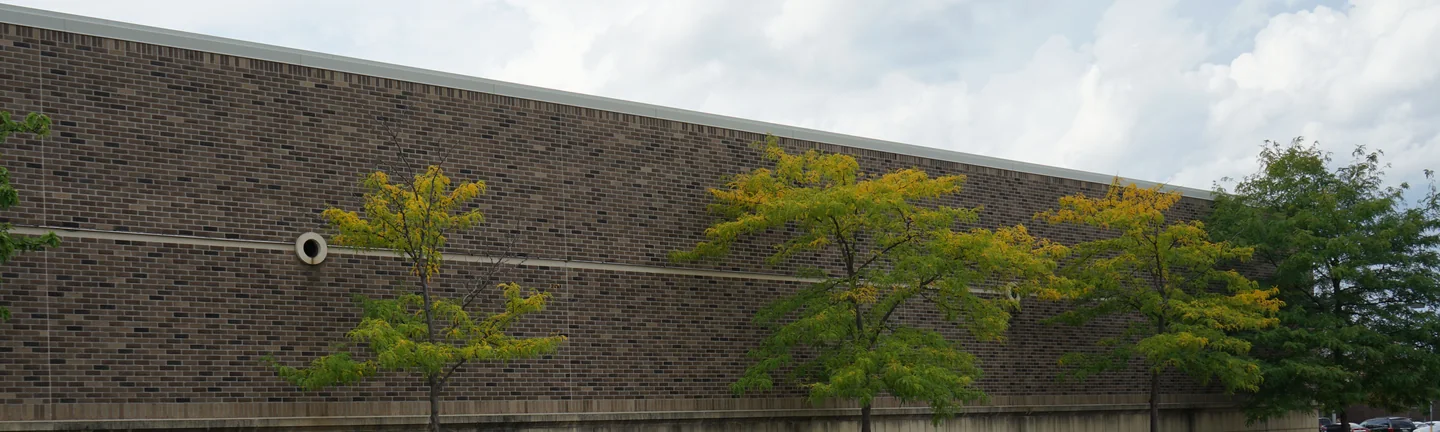 The stained mall wall in 2019, its brick reading as one brown and tan range for the full run of the elevation