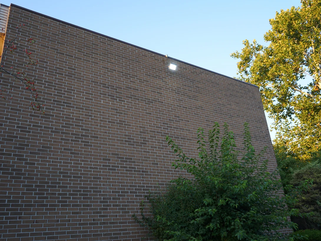 The same wall from the opposite corner in 2019 out of the sun, the brick reading as one consistent range beside a mature tree