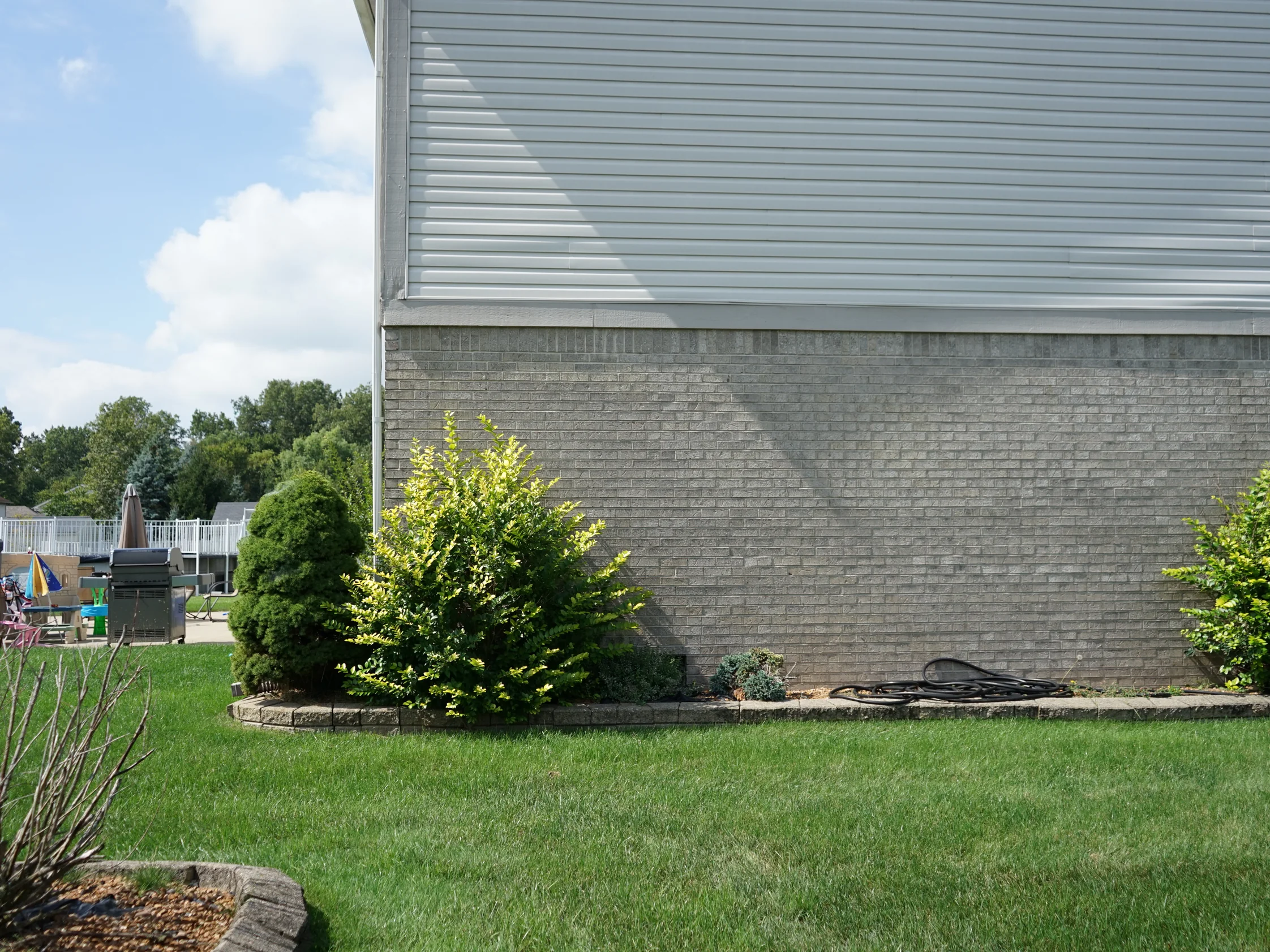 The rear corner of the house in 2019, the grey brick base turning the corner under the siding above, with lawn and planting in front of it
