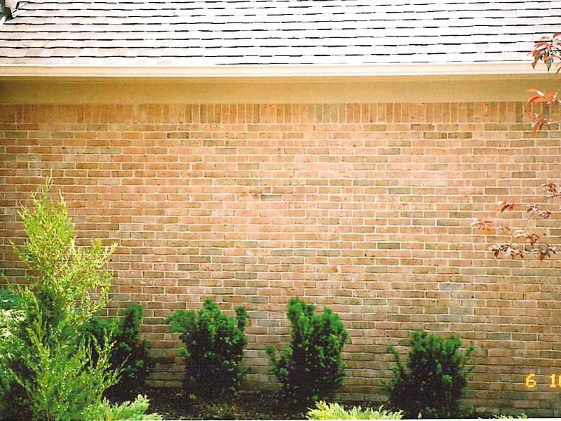 The same side wall in 2005 after staining, tan brick reading as one range from the eave to the shrubs, with a downspout at the right corner