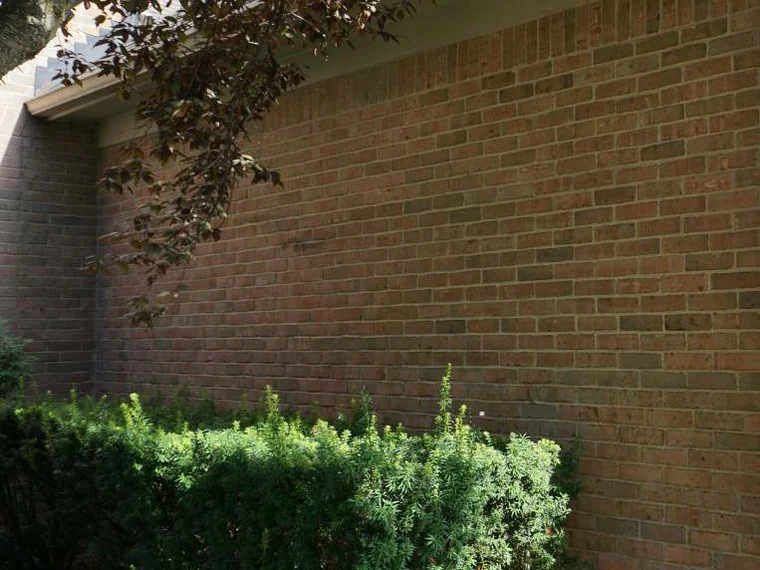 The side wall in 2019 under the shade of a tree, tan brick running one range from the eave down to the shrubs