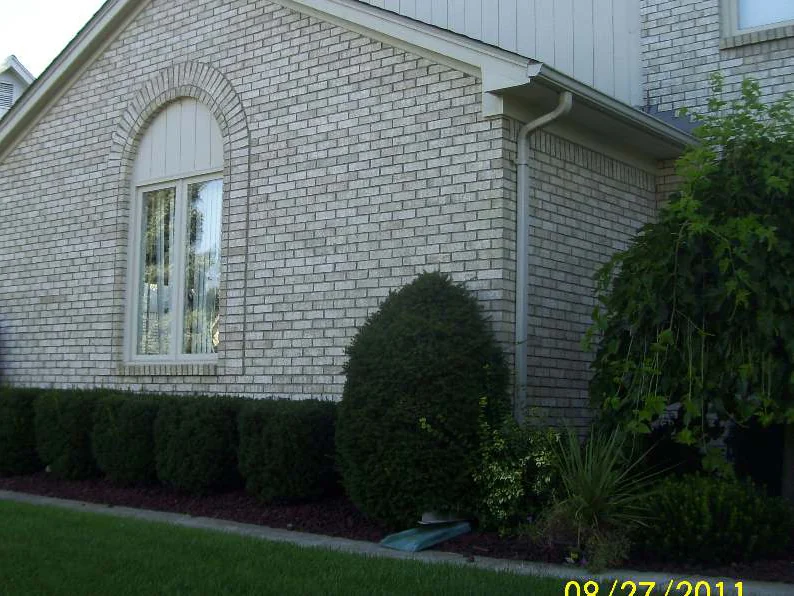 The gable end of the house in August 2011 before staining, pale white brick around an arched window with a row of clipped shrubs below and the camera date 08 27 2011 burned into the corner