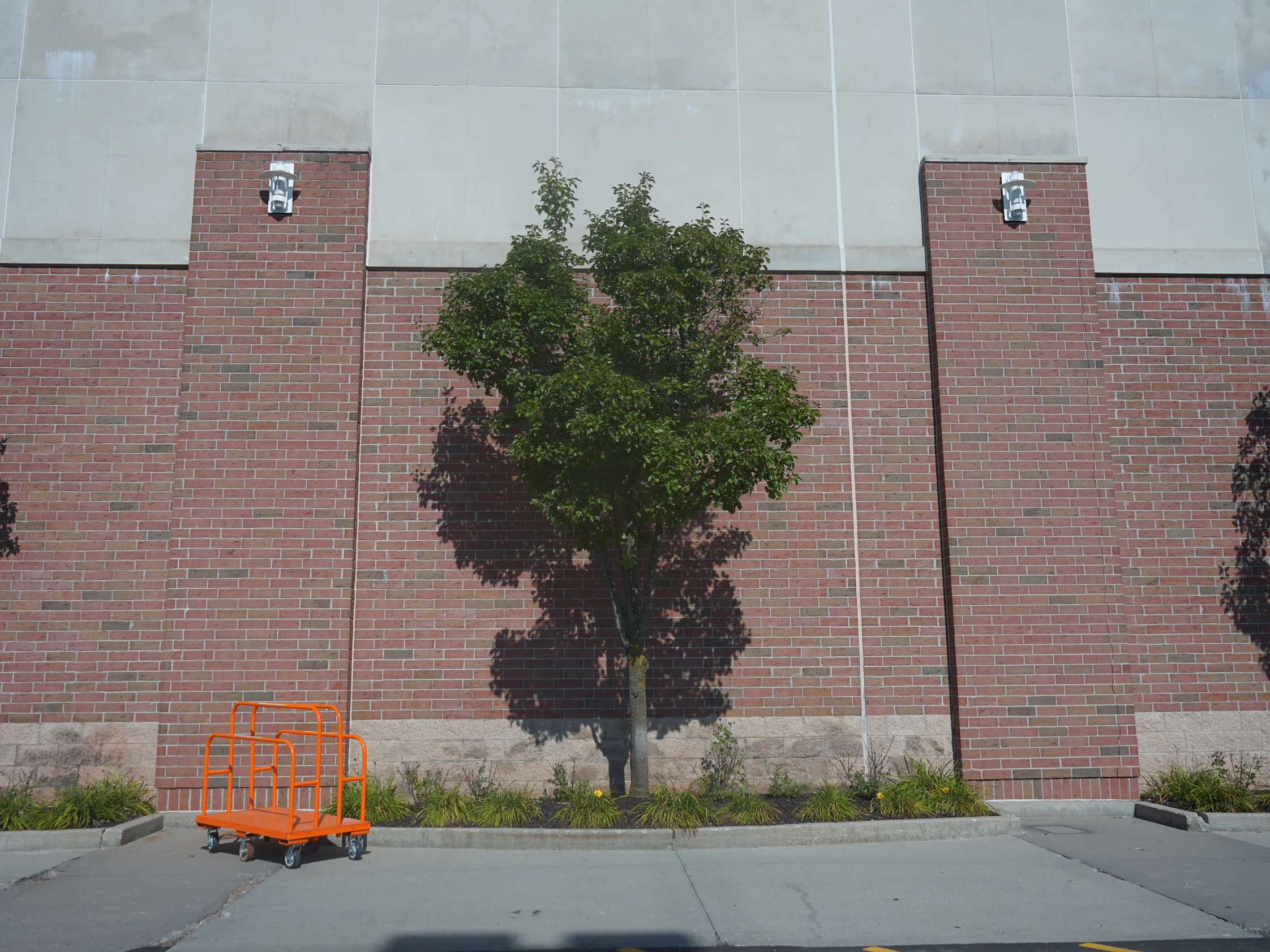 The store frontage in 2019 from the kerb, two brick pilasters and the wall between them holding one even red range from the cast stone base to the precast panel above, with a young tree in the bed