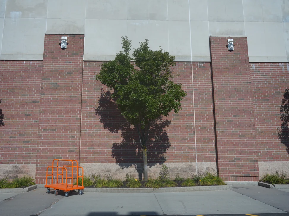 The store frontage in 2019 from the kerb, two brick pilasters and the wall between them holding one even red range from the cast stone base to the precast panel above.