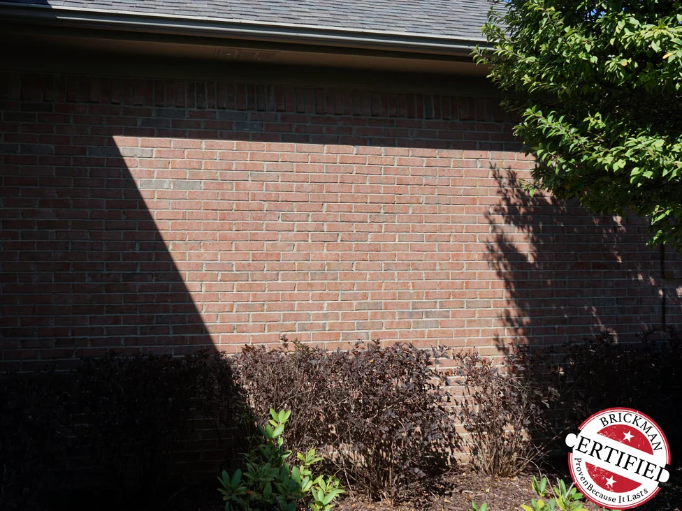 A wall of the house in 2019 with afternoon sun raking across it, the brick an even red and grey range above a shrub bed
