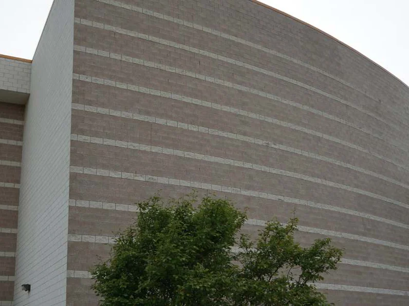 The same wall in 2019 from further left, a pine branch across the top corner of the frame and the accent courses running unbroken from the white wing to the curve