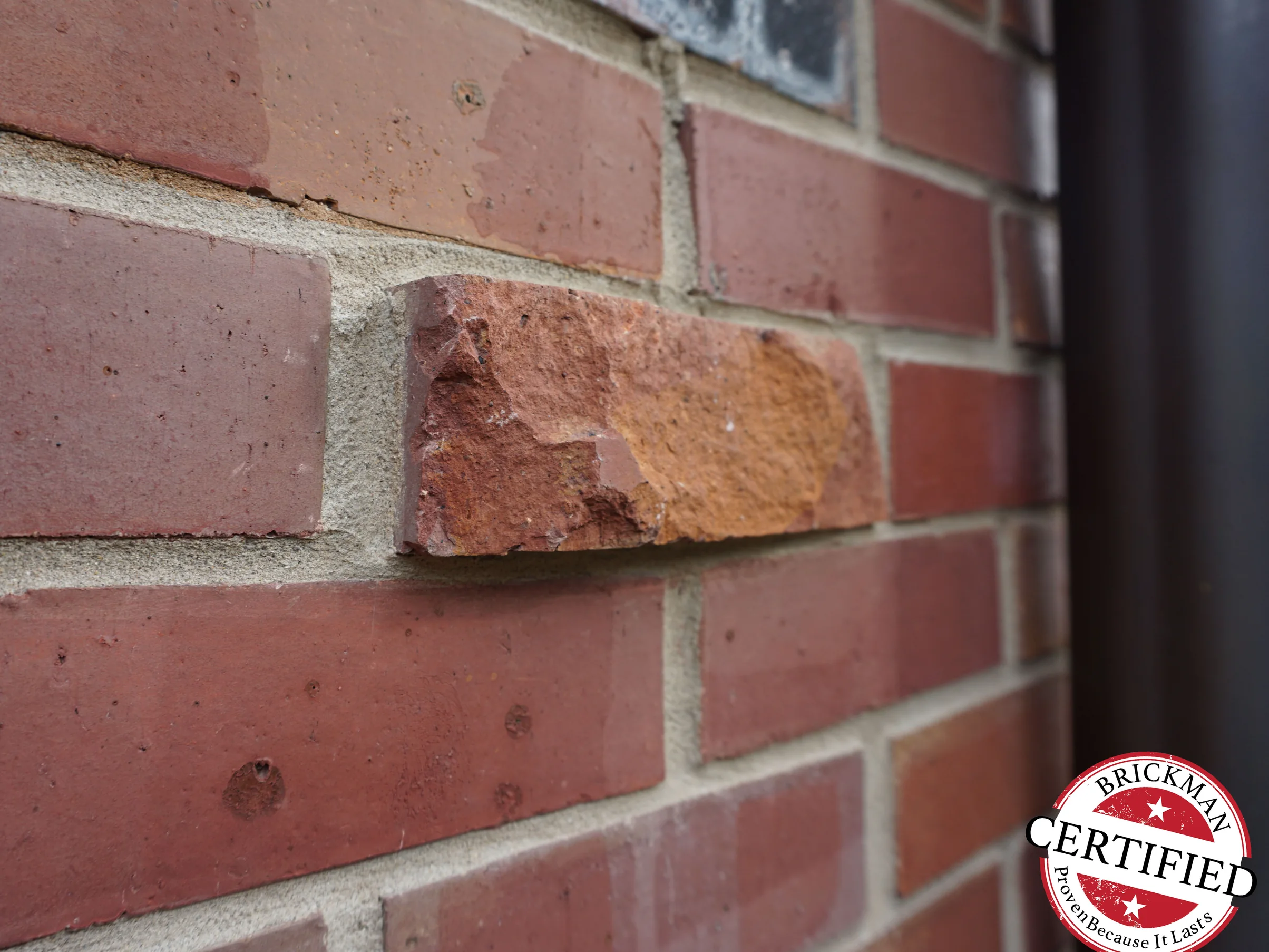 Close view along the wall in 2019, one rough faced rust coloured header standing proud of the smooth deep red brick around it