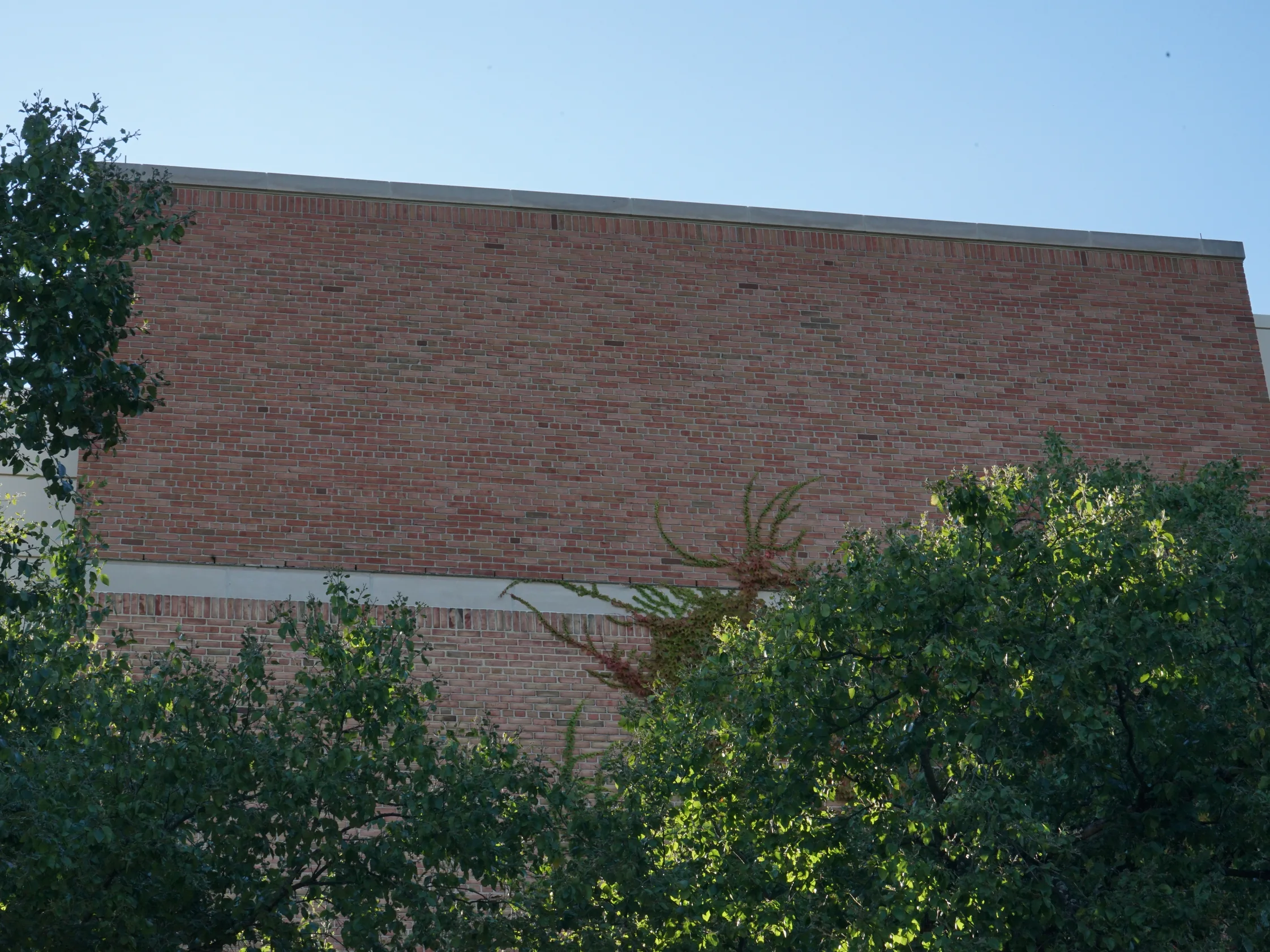 The long blank elevation in 2019, the brick above the limestone band reading as one red and tan range